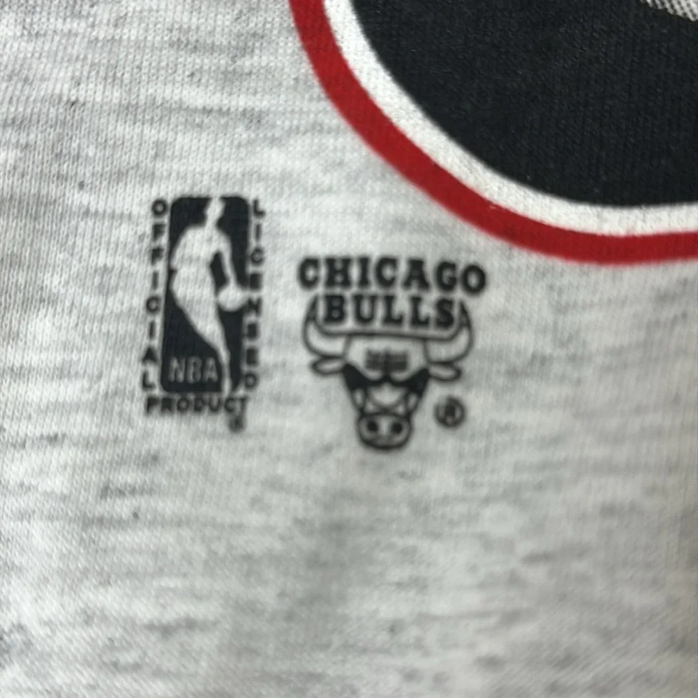 Vintage 1993 NWOT Chicago Bulls Champions Tee, Heathered Gray Made in USA Salem - Picture 5 of 12
